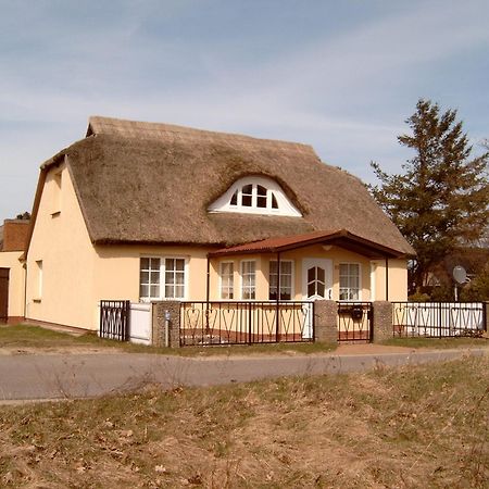 Ferienhaeuschen Villa Born Ngoại thất bức ảnh