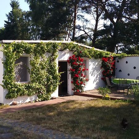 Ferienhaeuschen Villa Born Ngoại thất bức ảnh