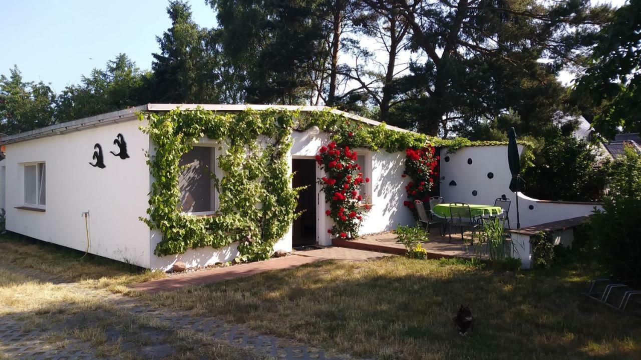 Ferienhaeuschen Villa Born Ngoại thất bức ảnh