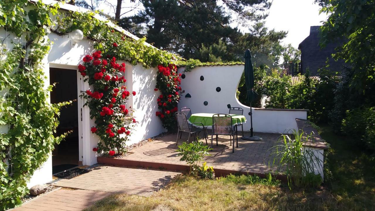Ferienhaeuschen Villa Born Ngoại thất bức ảnh